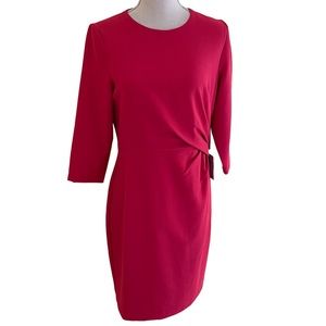 NWT Eliza J. Pink Side Ruched/Pleated/Gathered Sheath Dress 10P